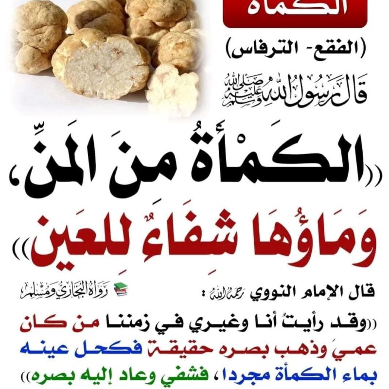 ماء الكماة - Image 2